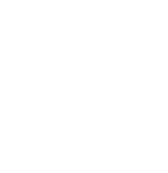 Wolvesdev - Equipo de Desarrollo de Software